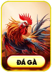 Trường đá gà GO88