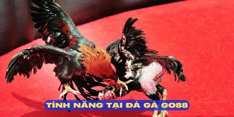 Đá gà GO88 tích hợp nhiều tính năng mới